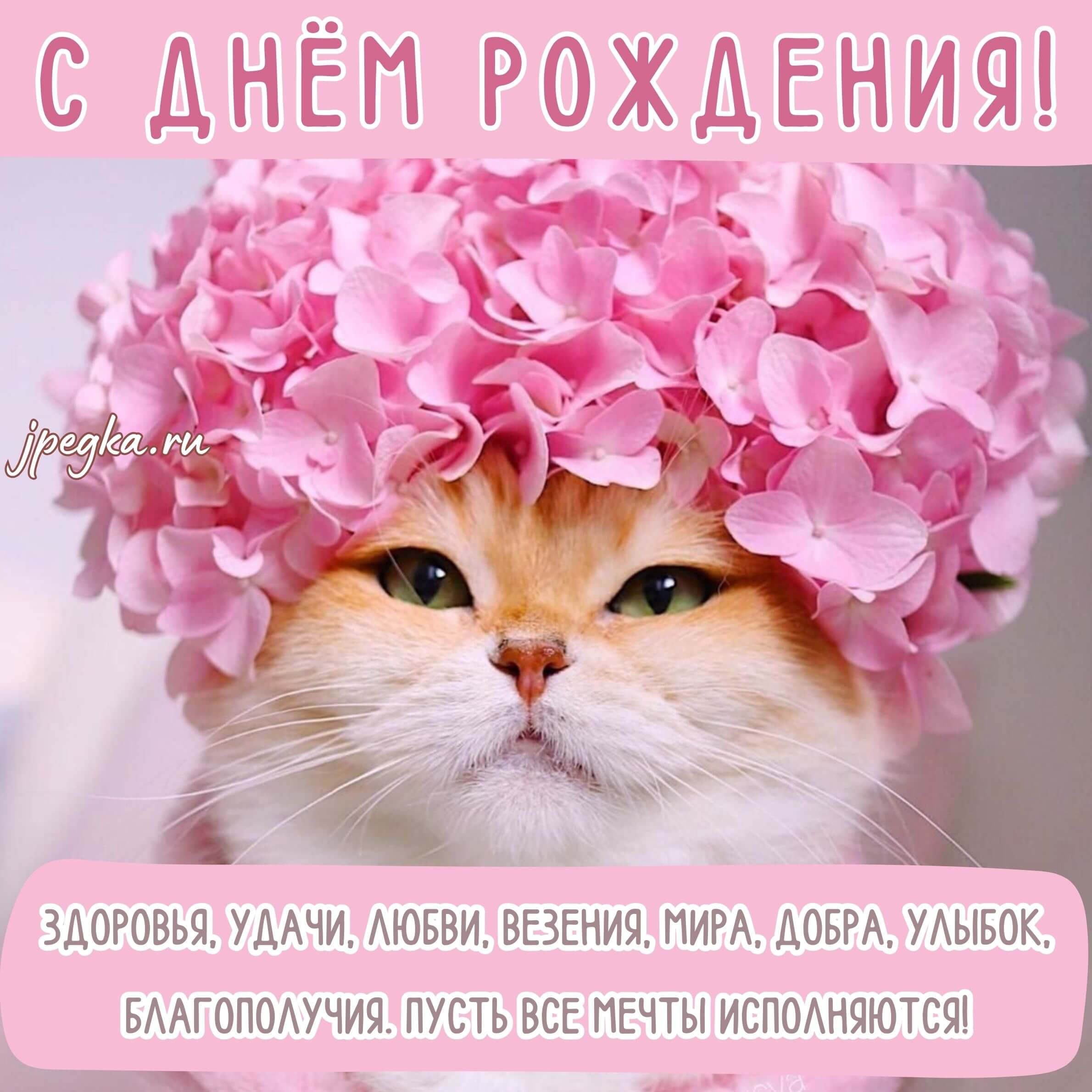 От всей команды VanillaSquad и лично от меня, основателя проекта, поздравляю UFAVS с Днём Рождения! 🥳